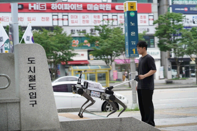 대전교통공사,시각장애인 안내견 실증사업 추진