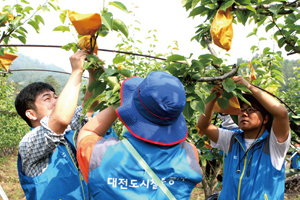 사회공헌활동 사진2